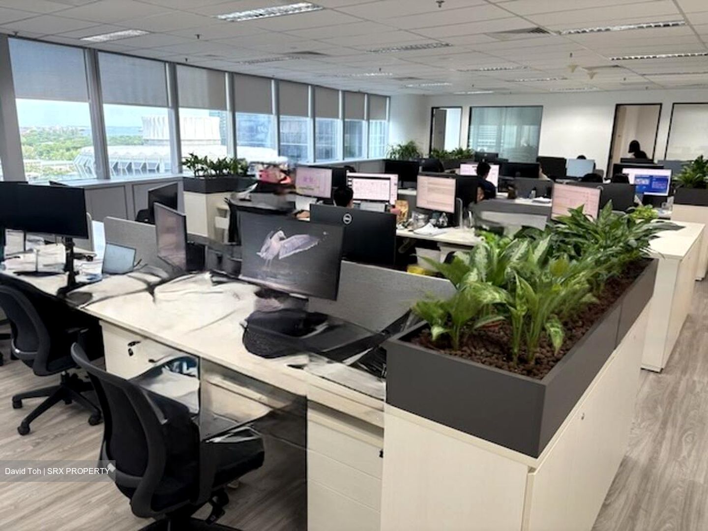 Republic Plaza (D1), Office #474942881